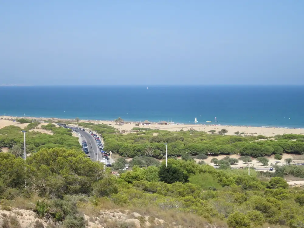 Playa del Carabassí vista desde lo alto, con pinar, dunas, una carretera con coches aparcados y el mar al fondo